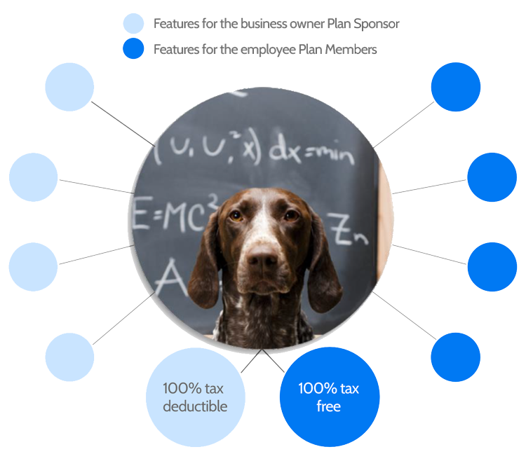 blendable dog map